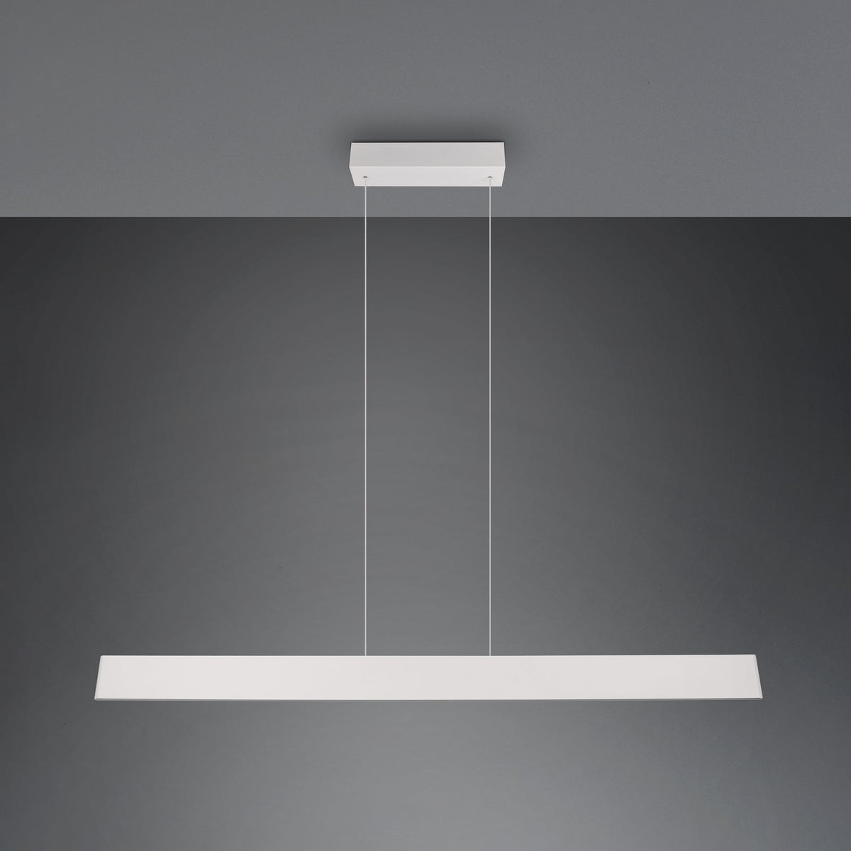 Trio Lighting Hängeleuchte Pendelleuchte LED Galway hellgrau dimmbar Touch CCT - 4017807616682
