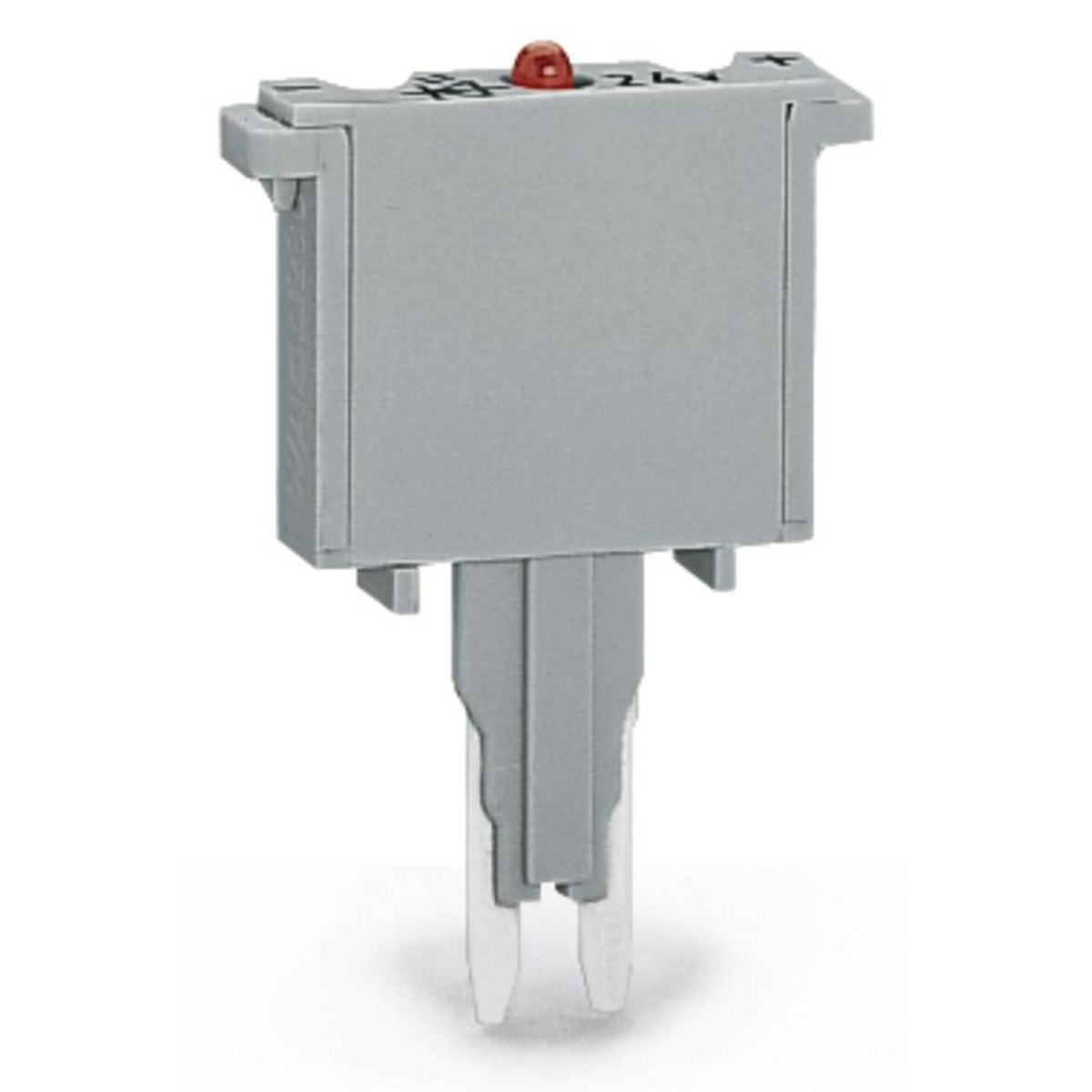 WAGO Sicherungsstecker Sicherung Stecker Grau 100 Stück 280-856 281-413 - 4045454362768