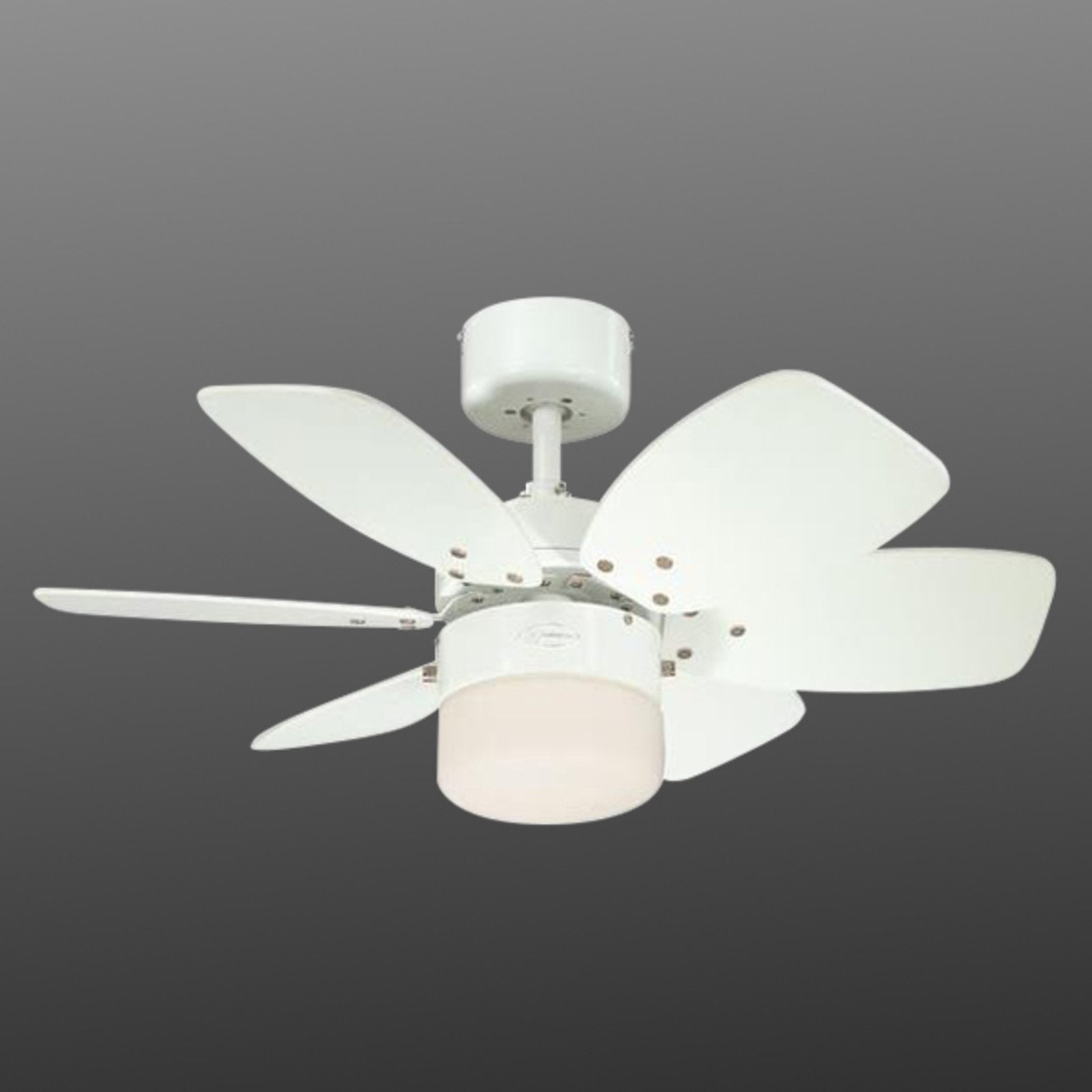 Westinghouse Flora Royale Ventilator Deckenventilator mit Licht Schlafzimmer - 4895105608949