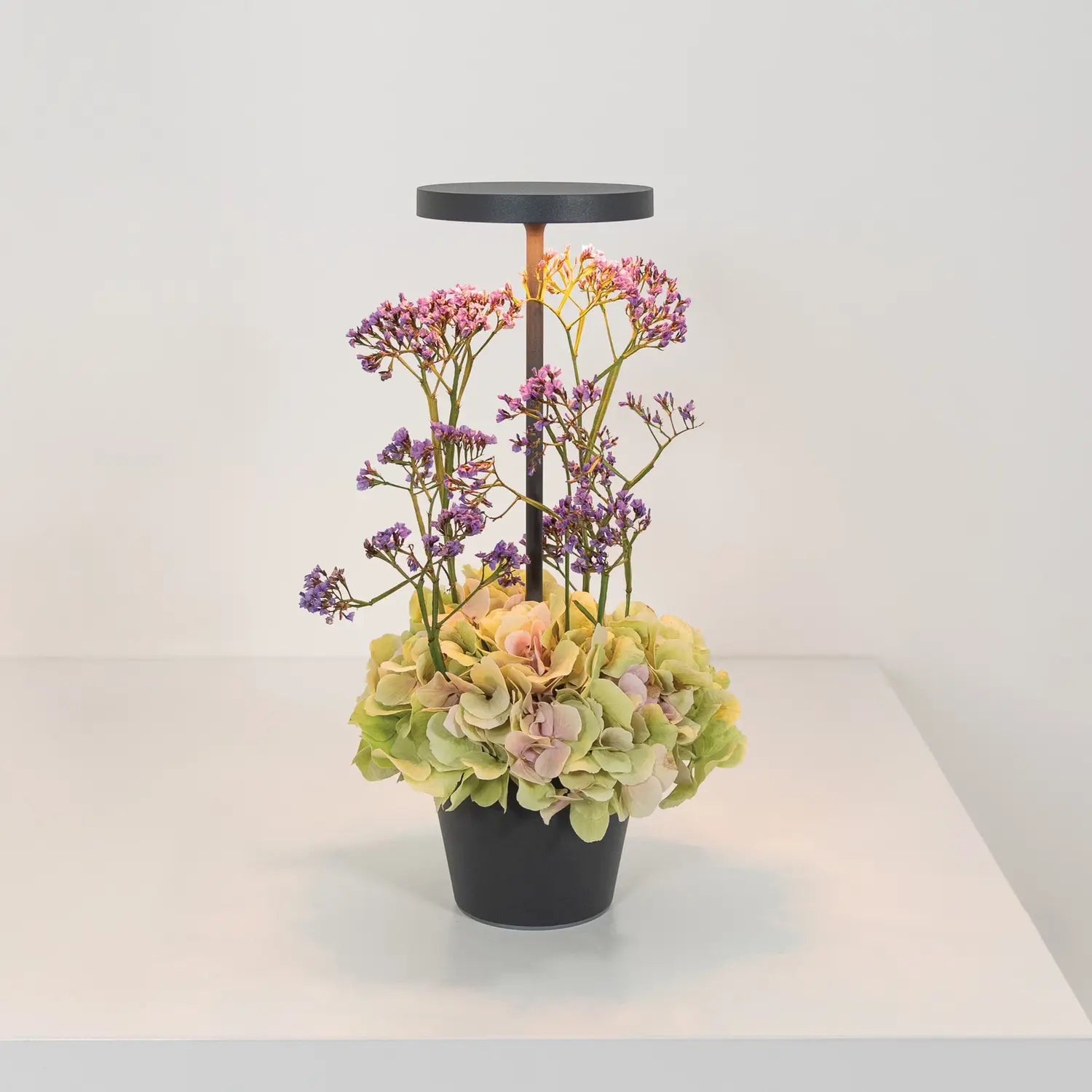 B-Ware Zafferano Tischleuchte Lampe Akku Led Poldina Reverso Grau Aluminium 35 Cm Ip54 - 8054144509037
